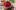 shutterstock.com/rnicuristina: Винегрет с солеными огурцами квашеной капустой горошком фасолью пошаговые рецепты с фото