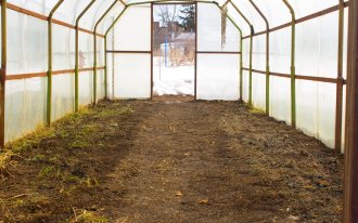 shutterstock.com / Roman 73: Почему почва в теплице зеленая после зимы