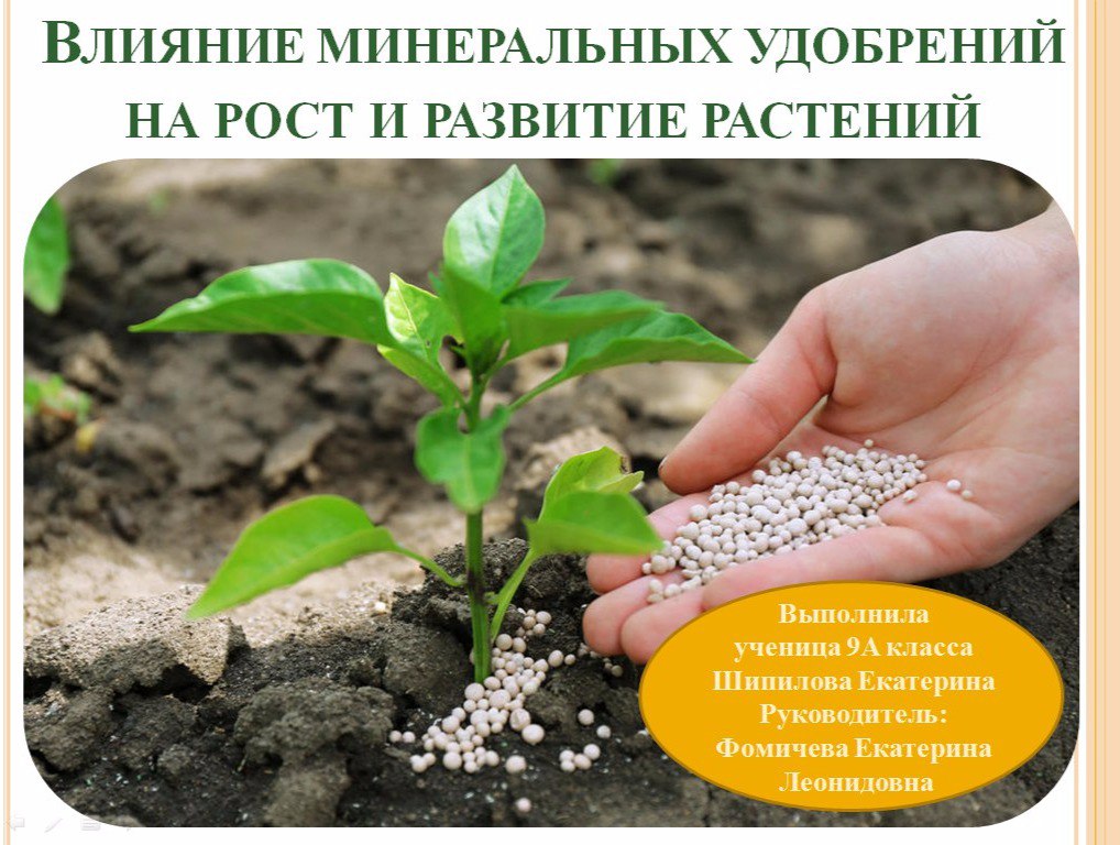 Доклад: Важные элементы, необходимые для нормального роста растения и их содержание в различных удобрениях