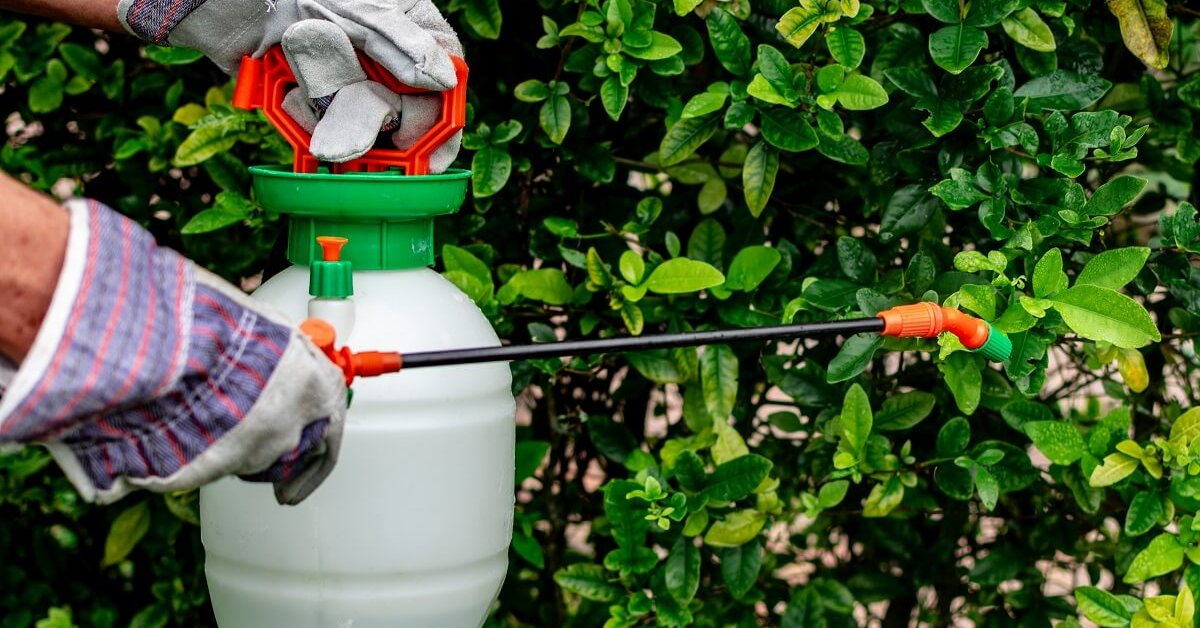 Что такое баковые смеси, или Как правильно смешивать пестициды
