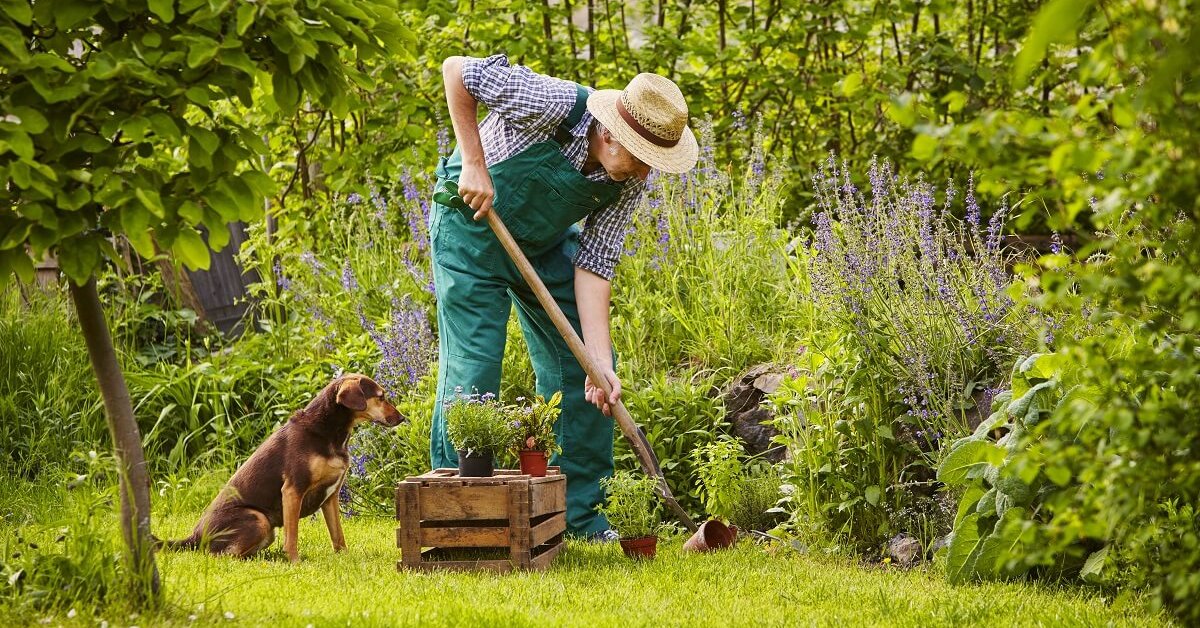 Что делать в июне – 30 самых важных дел в саду, огороде и цветнике | Новости (Огород.ru)