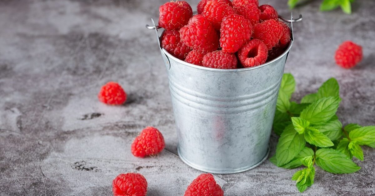 Чем подкормить малину летом, чтобы ягоды были сладкими