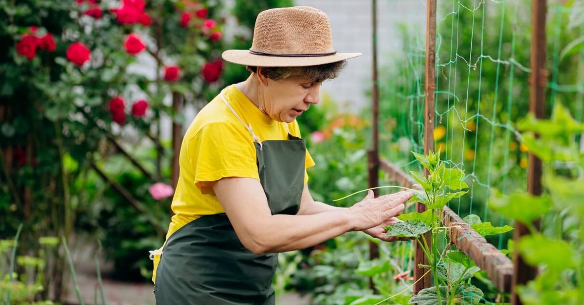 Подробный гид по садовым работам в июле: что делать, чтобы добиться прекрасного урожая