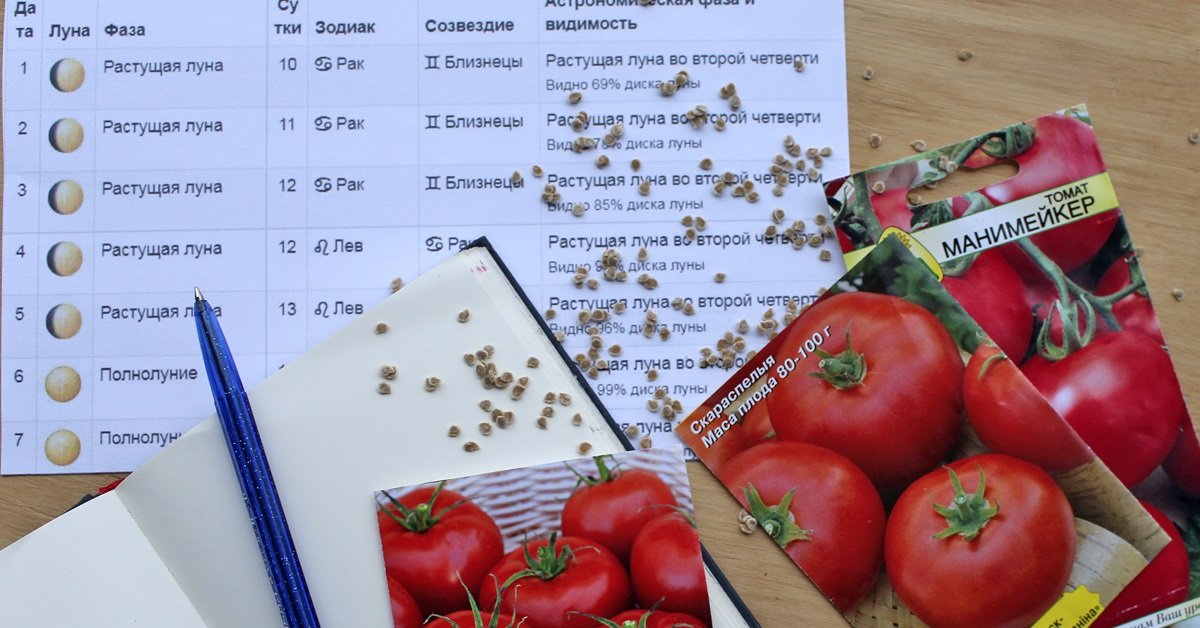 Календарь обработки томатов от болезней и вредителей: полезные советы [Огород ogorod]