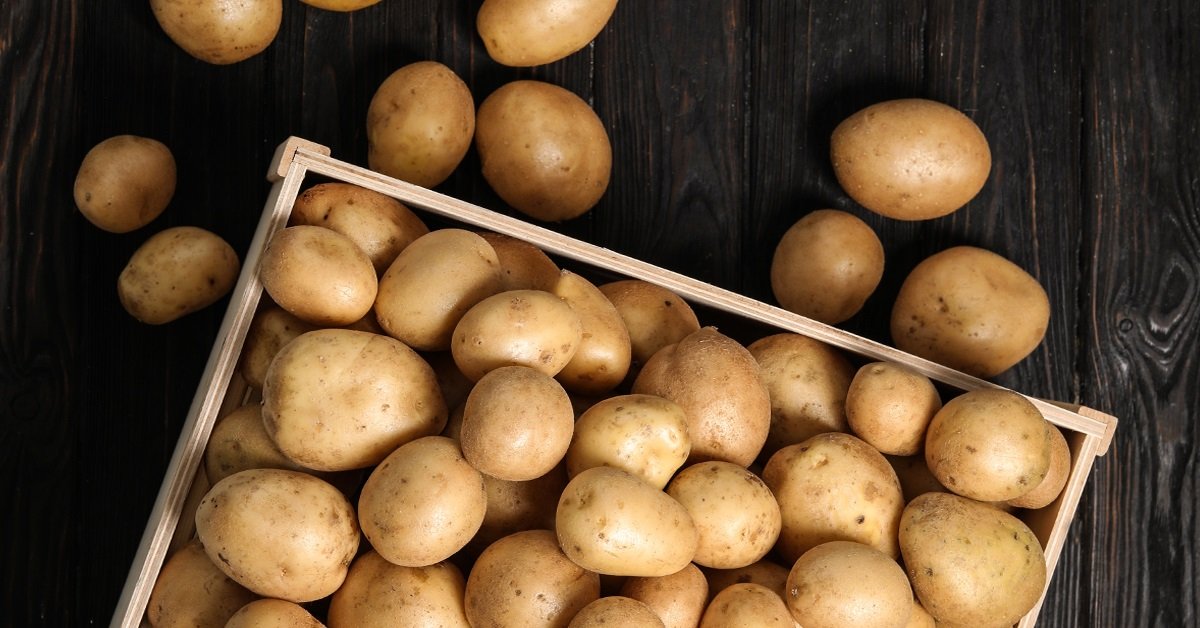 10 самых лежких сортов картофеля