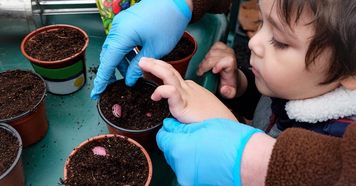 Какие яркие растения выбрать для совместного выращивания с ребенком