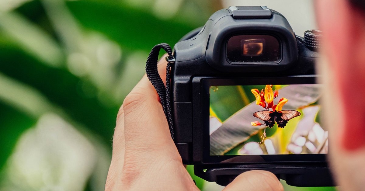Определение растения по фото со своего телефона сфотографировать