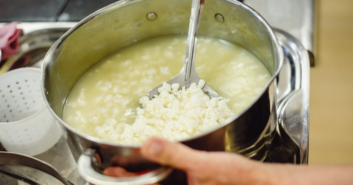 Значение сыра в домашней кулинарии