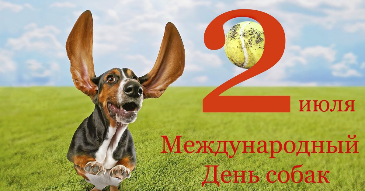 2 июля – Международный День собак | Новости (Огород.ru)