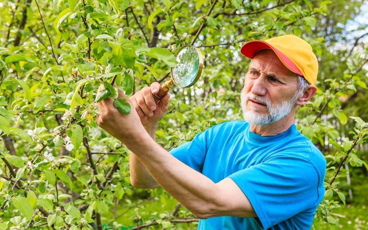 борьба с вредителями