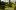 Левенс Холл – самый красивый топиарный сад Англии