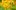 : желтый лилейник с лого