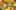Фото David Sifry с сайта wikimedia.org: самые необычные красивые сорта тыкв патиссонов кабачков
