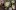 shutterstock.com/Kiian Oksana: Засолка капусты на зиму в банки рассолом рецепт быстро просто с фото пошагово