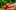 shutterstock.com/ZhakYaroslav: Что с плодами томатов: пятна, трещины, кэтфэйсинг, белые прожилки