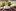 Маринованные кабачки на зиму пошаговый рецепт с фото