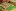 Фрикадельки гриль в мангале на шампурах пошаговый рецепт с фото