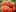 Пушистые сорта томатов для теплицы и открытого грунта