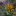 : Осенний цветник миксбордер