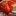 : крупноплодные томаты