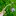 : Луковица крокуса с ростками и цветком