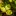 : Пятна на листьях клубники
