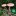 : Народные приметы на сбор грибов