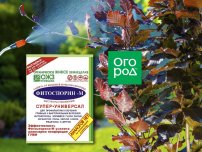 ogorod.ru: фитоспорин для защиты растений