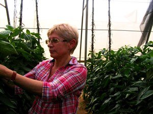Нина Балашенко - главный технолог Минской овощной фабрики