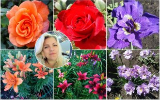 Наталья Ткаченко: ароматный сад