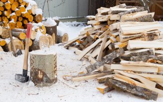 shutterstock.com / Serrgey75: Какие дрова выбрать для печки, бани и камина