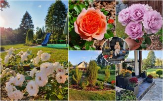 Екатерина Нечаева: сад своими руками