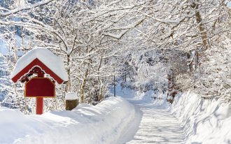 shutterstock.com/Patrick Poendl: Снежный февраль