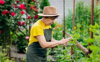 shutterstock.com / BONDART PHOTOGRAPHY: Что нужно сделать в саду, огороде и цветнике в июле