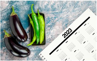 ogorod.ru: Выращивание перца и баклажанов по Лунному календарю в 2023 году