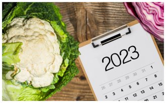 ogorod.ru: Выращивание капусты по Лунному календарю в 2023 году