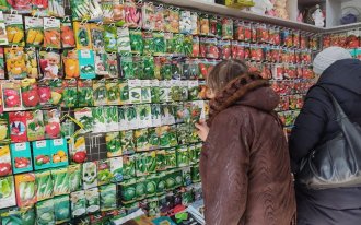 ogorod.ru / Александра Атрашевская: Как правильно выбрать и купить семена
