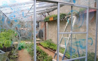 shutterstock.com / Hirundo: Как построить теплицу для зимнего выращивания овощей