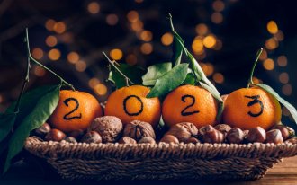 shutterstock.com/Anna Mente: Идеи поделок из мандаринов на Новый год