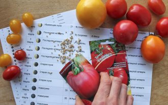 ogorod.ru / Екатерина Горбачёнок: Выращивание томатов по лунному календарю
