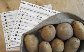 ogorod.ru / Горбачёнок Екатерина: Выращивание картофеля по лунному календарю 2024