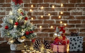 shutterstock.com / Lucigerma: Как сэкономить на новогоднем празднике