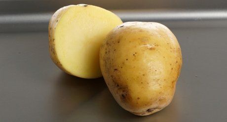 Немецкие Сорта Картофеля Фото И Описание