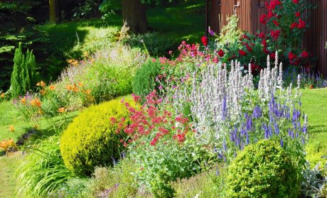 Работы в саду и огороде в июне: не забудьте о важных задачах!