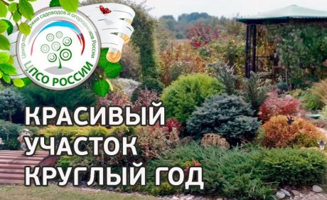 логотип Центра поддержки садоводов и огородников России