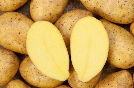 Желтая Картошка Сорта Названия И Фото