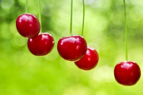 10 необычных плодовых, которые стоит посадить в этом году