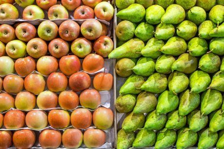 Как сохранить яблоки и груши свежими до нового урожая