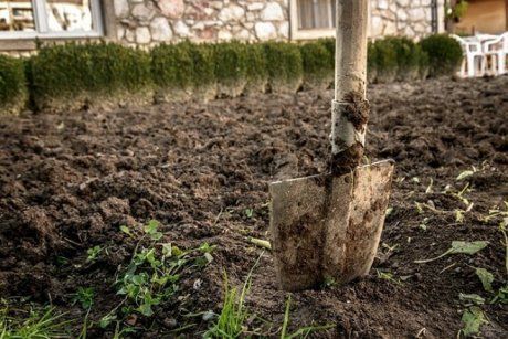 Как правильно обрабатывать почву в саду осенью: советы и рекомендации