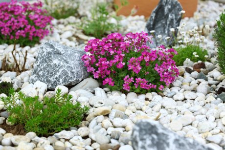 Рокарий своими руками на даче – царство камней и растений